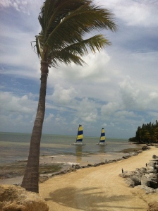 Sailboats for rent