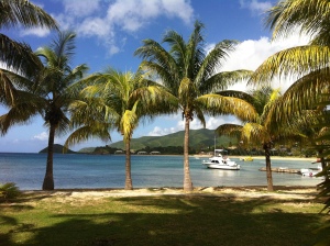 Beautiful grounds at Curtain Bluff