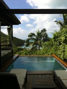 Hillside suite with private plunge pool